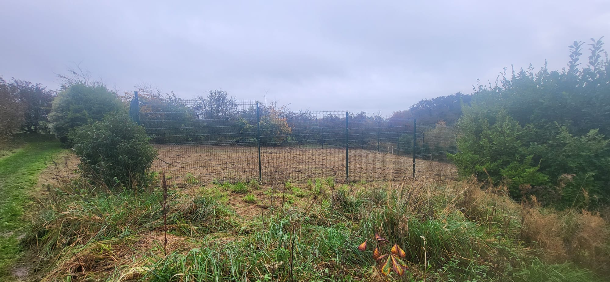 Animal Care Sanctuary